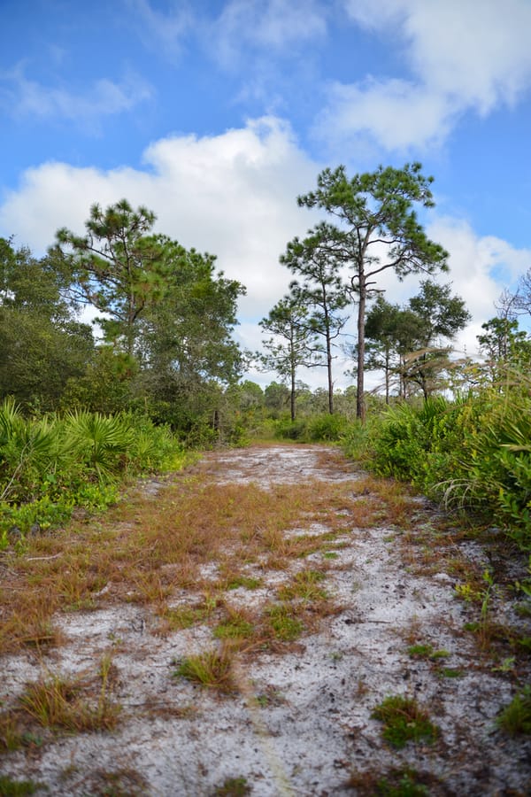 Project_20201027_OldMiakkaPreserve_057