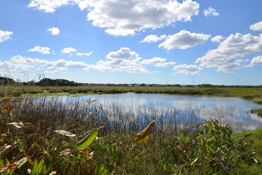 20181018_CeleryFieldsPark_026_SD