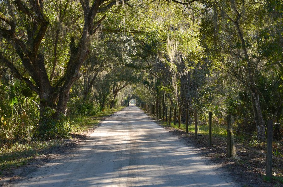 20220118_Old Myakka_004_SD