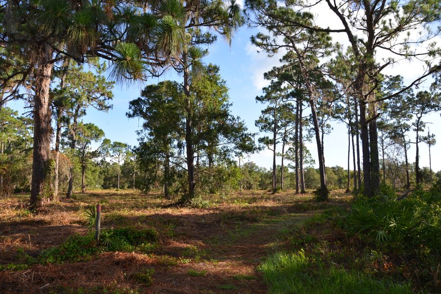 20180614_UrferPark_226_SD