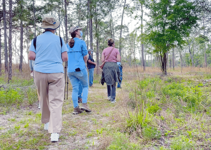 Nature Walk with Chinsegut Conservation Center, Brooksville, FL