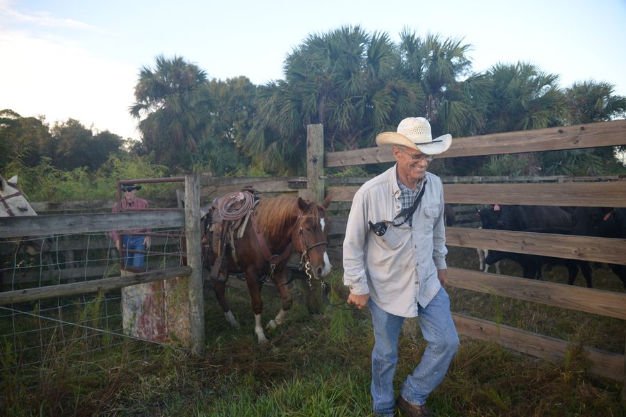 20161025_CattleWaltonRanch_0456_SD