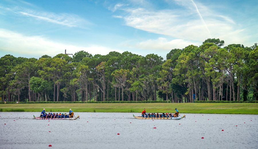 Dragon Boat Races