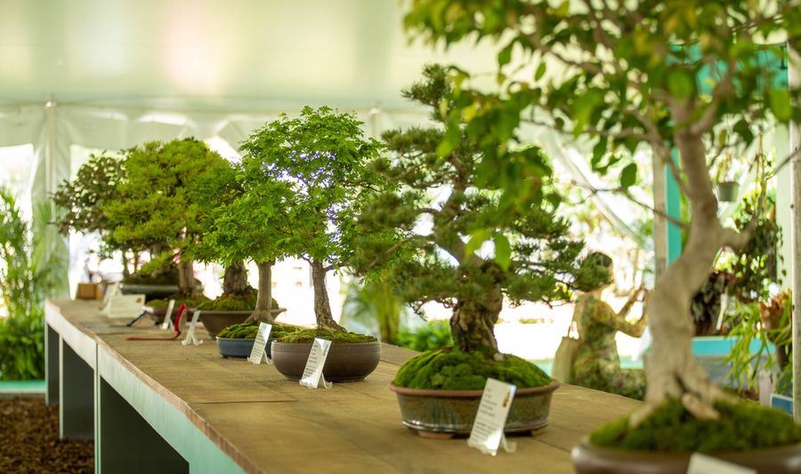 Philadelphia Flower Show