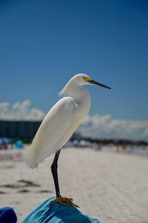 20220607_CrescentBeach_010_SD