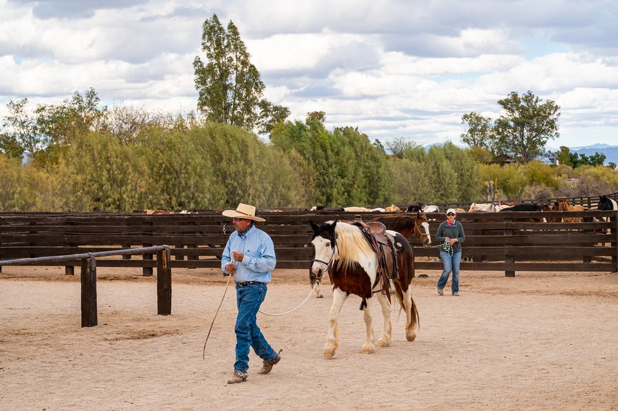 Rancho de los Caballeros, Wickenburg_credit An Pham