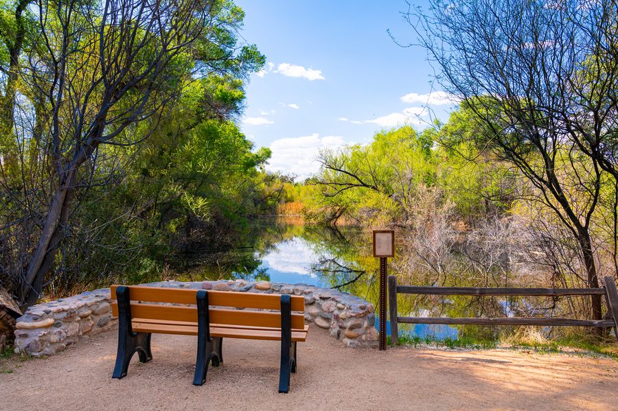 Hassayampa River Preserve_Credit An Pham