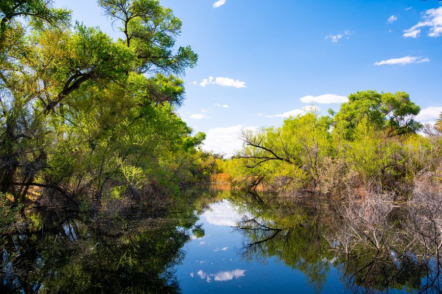 Hassayampa River Preserve_Credit An Pham