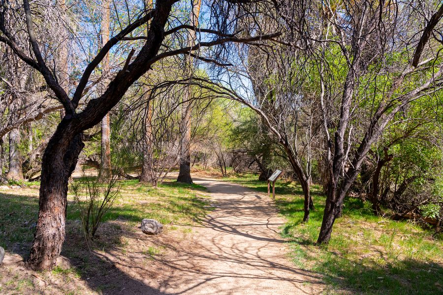 Hassayampa River Preserve_Credit An Pham