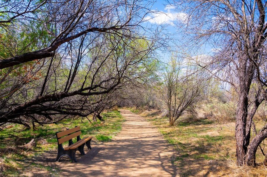 Hassayampa River Preserve_Credit An Pham