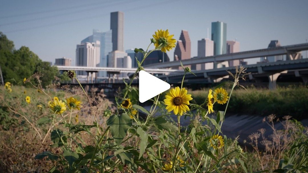 White_Oak_Bayou_Greenway_5