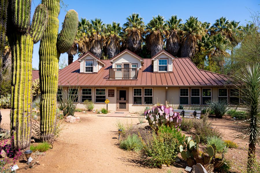 Hassayampa River Preserve_Credit An Pham