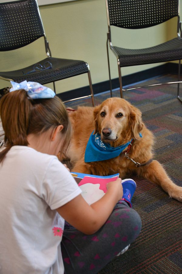 20200224_BJJNSL-ReadingWithDogs_014_SD