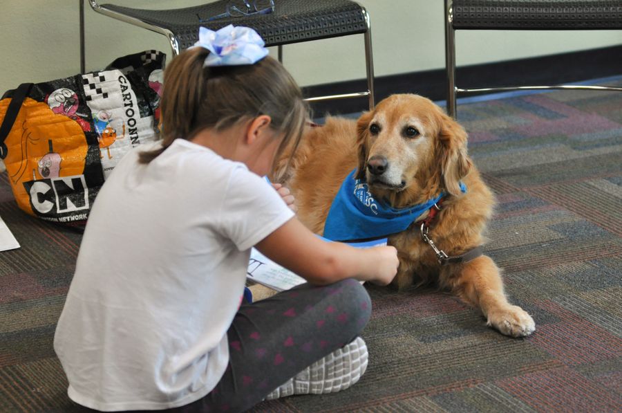 20200224_BJJNSL-ReadingWithDogs_005_SD