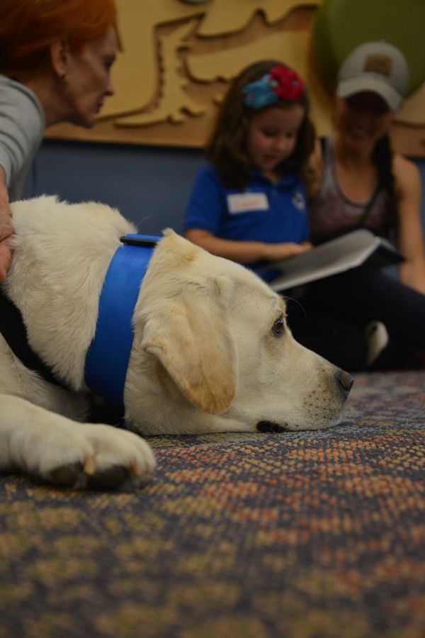 20200219ReadingToDogsGulfGate_015_SD