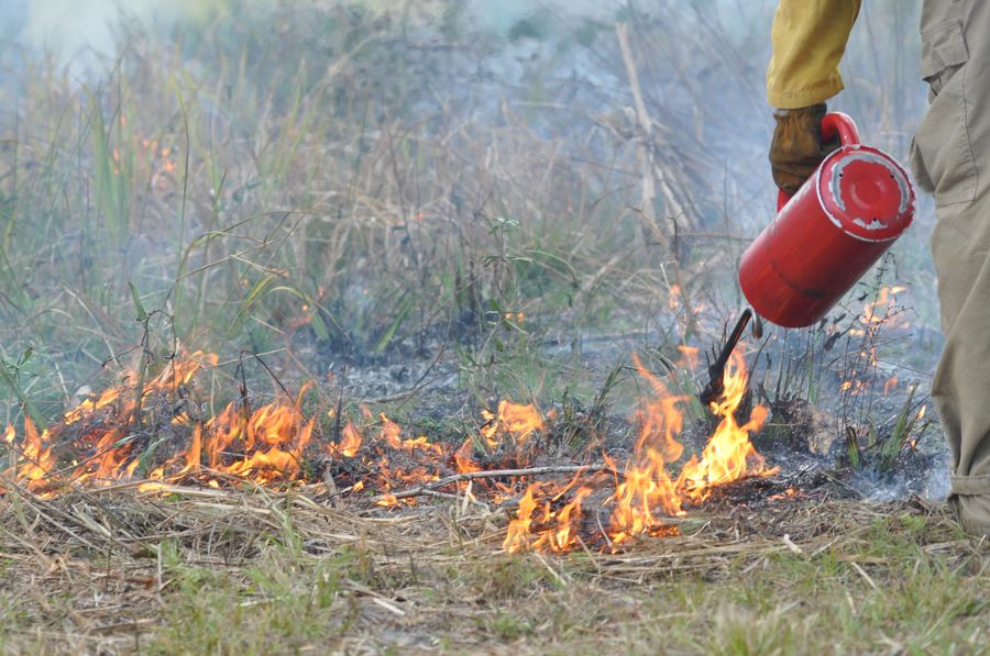 20190201FireFestCarlton_142_SD