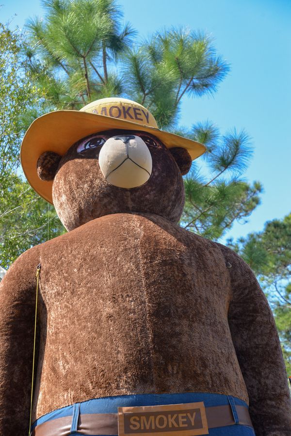 20170204_FireFestCarltonReserve_174_SD