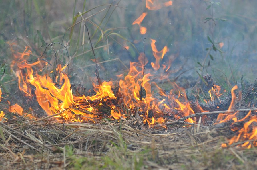 20190201FireFestCarlton_140_SD