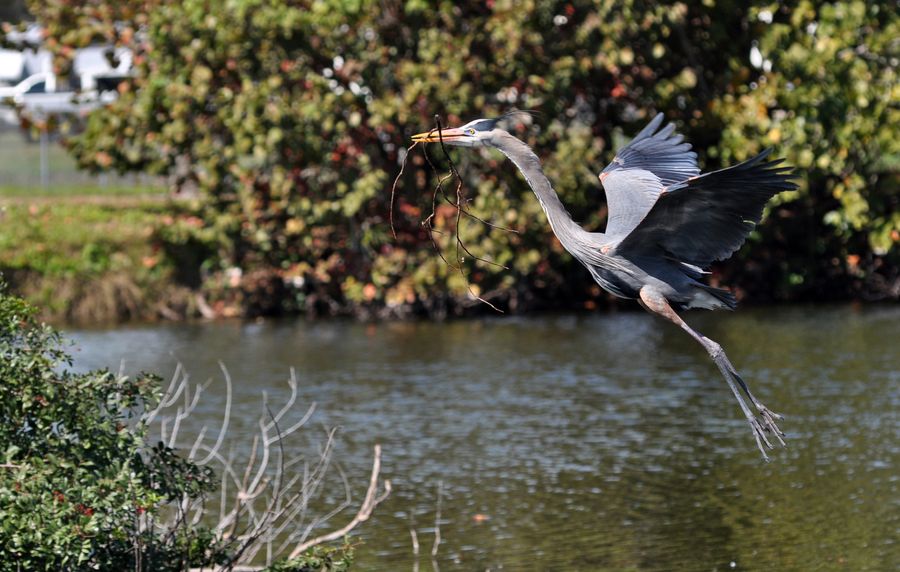20211229_Venice Rockery_058_SD