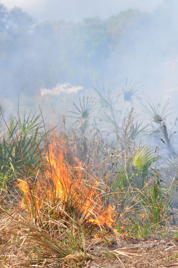 20190201FireFestCarlton_116_SD