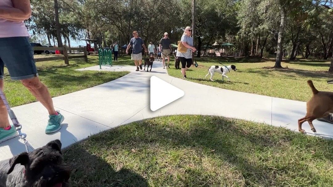 Bay Street Dog Park