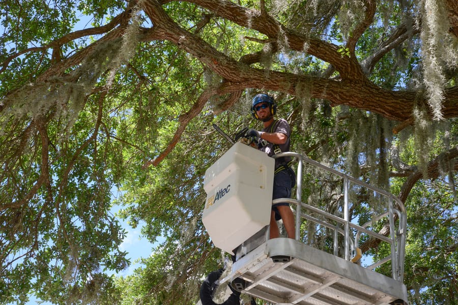 20180426_TreeTrimingTwinLakesPark_201_SD