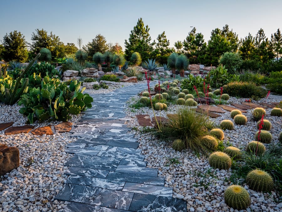 Houston_Botanic_Garden_Desert