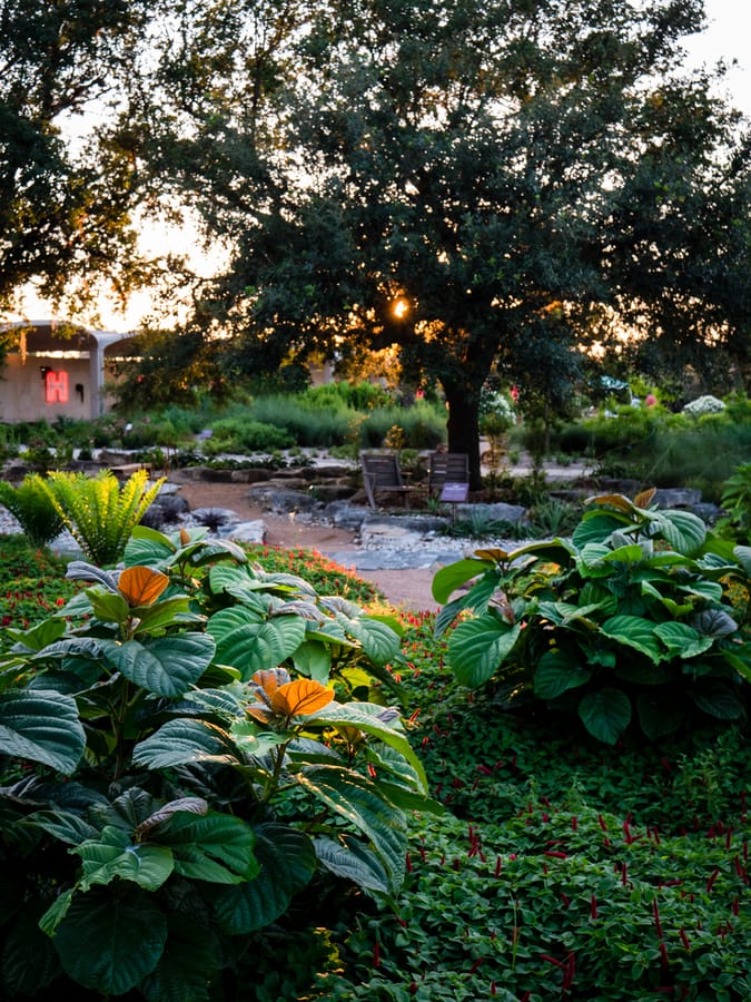 Houston_Botanic_Garden_Picnic_Grove