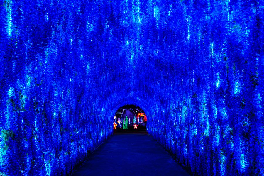 Chinese Lantern Festival