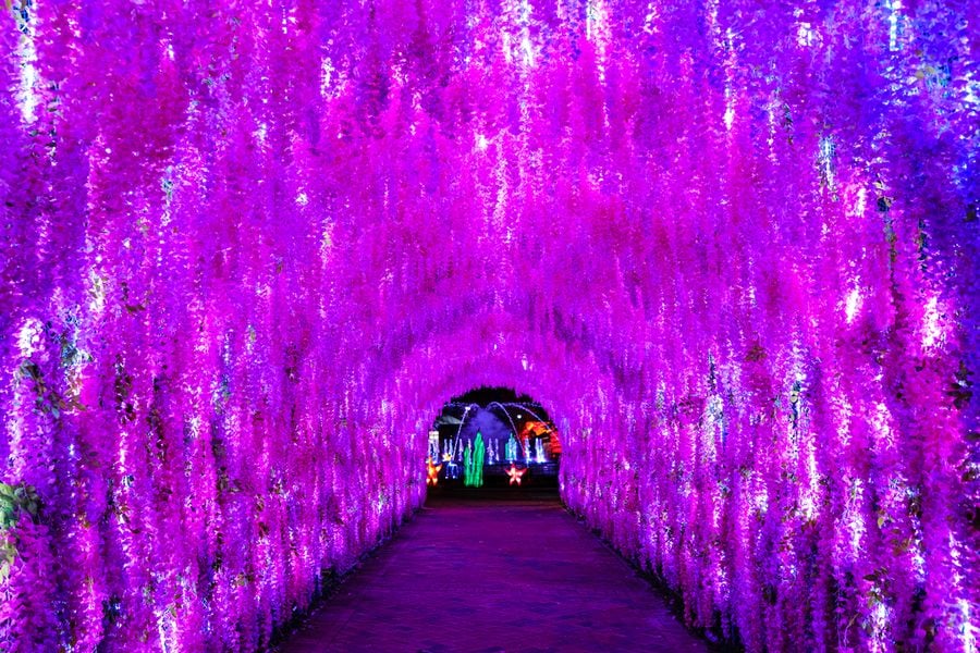 Chinese Lantern Festival