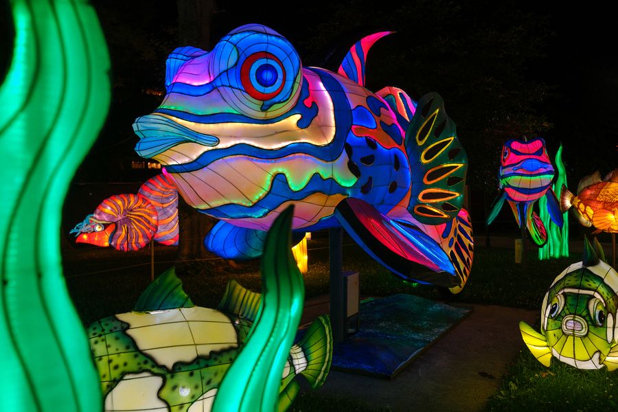 Chinese Lantern Festival