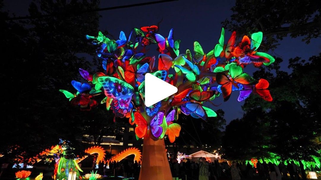 Chinese Lantern Festival