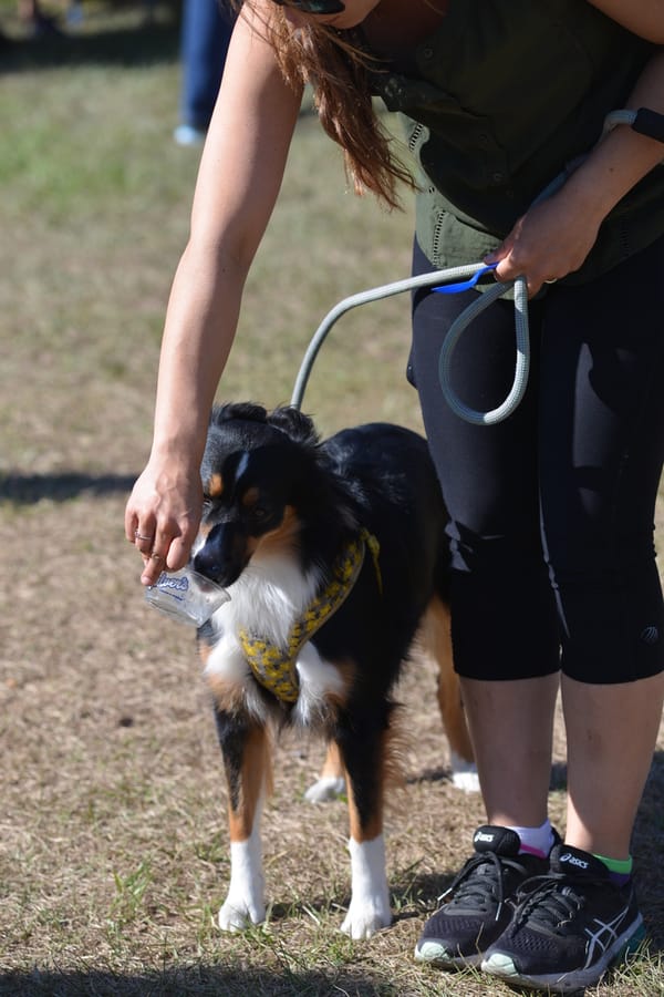 20180323_ActiveMobilityWeekendLaurelPark_141_SD