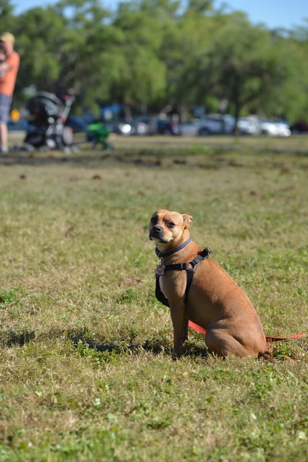 20180323_ActiveMobilityWeekendLaurelPark_263_SD