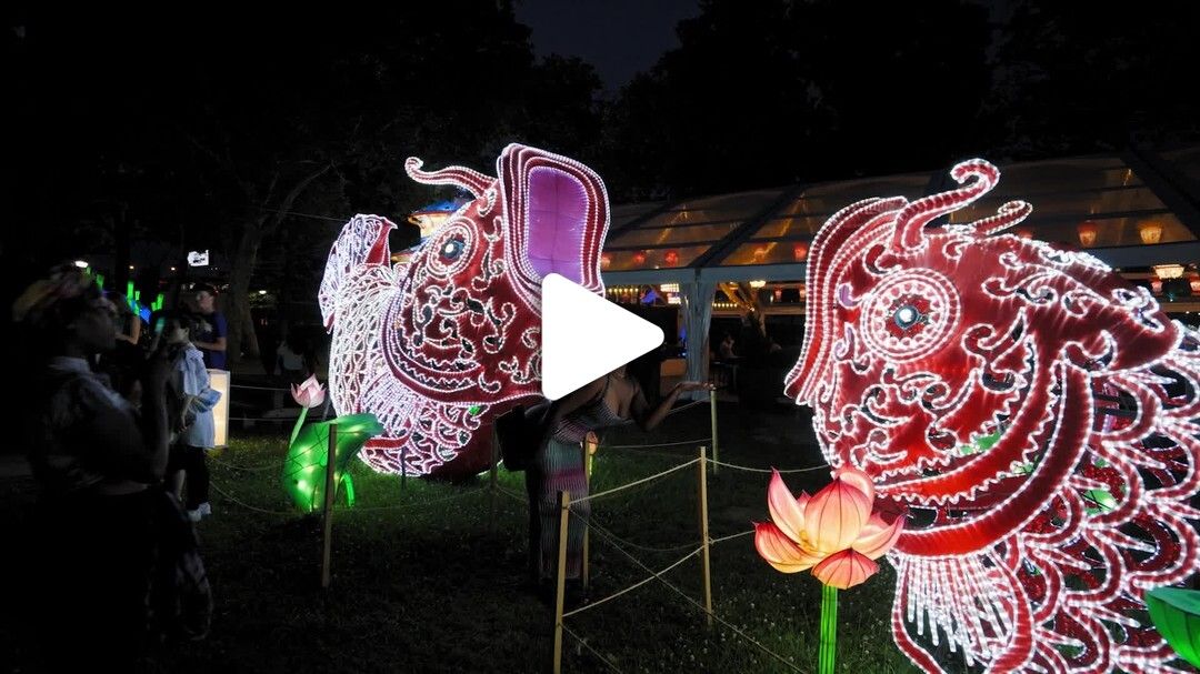 Chinese Lantern Festival