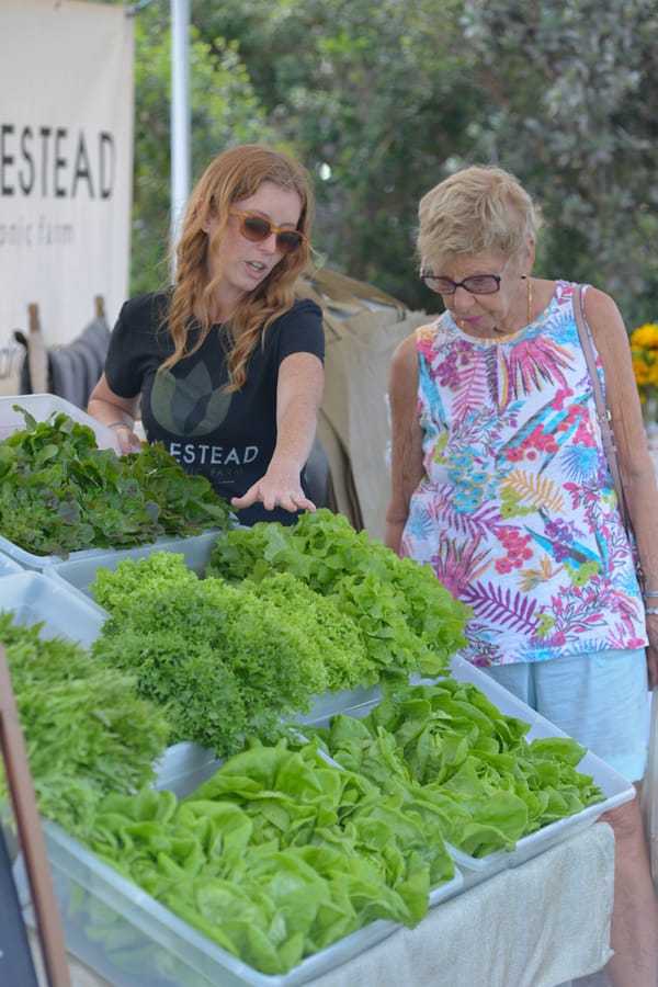 20180228_FarmersMarketPhillippi_143_SD