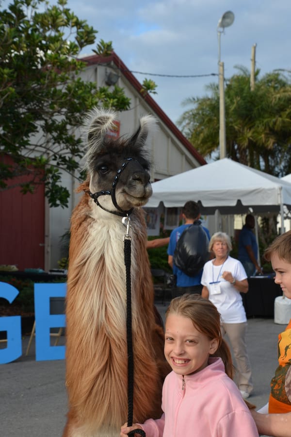 20171027_AgeFriendlyFestival_240_SD