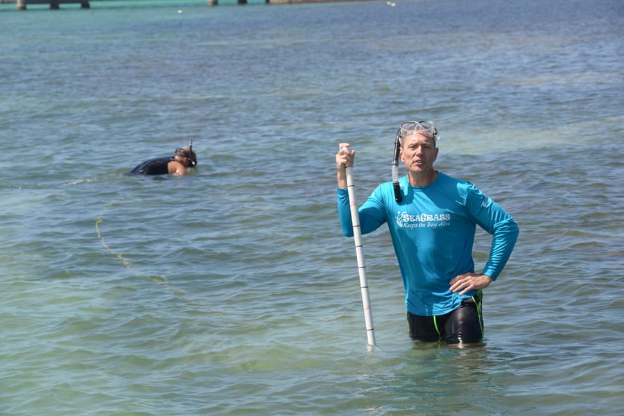 20180504_SeagrassSurvey_658_SD (1)