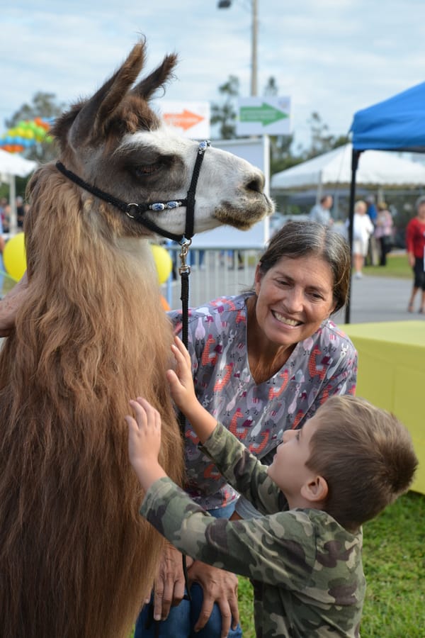 20171027_AgeFriendlyFestival_286_SD