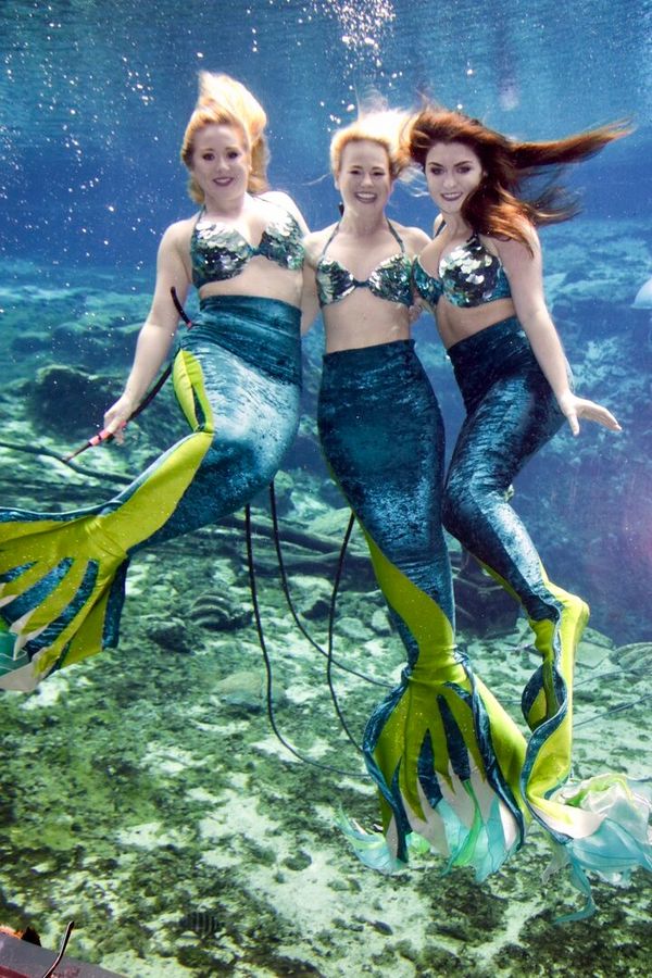 Weeki Wachee Mermaids Kristy, Amanda & Cheyenne Sep27-19_8715