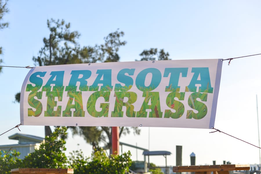 20180504_SeagrassSurvey_047_SD