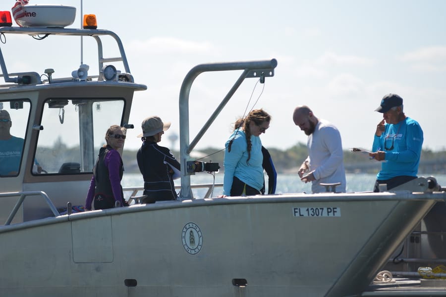 20180504_SeagrassSurvey_416_SD (1)