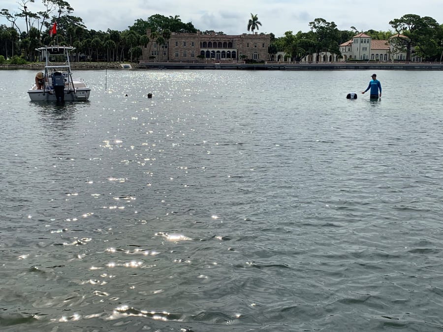 20190617_SeagrassSurvey_5_SB