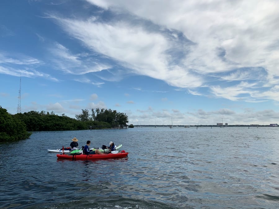 20190617_SeagrassSurvey_3_SB