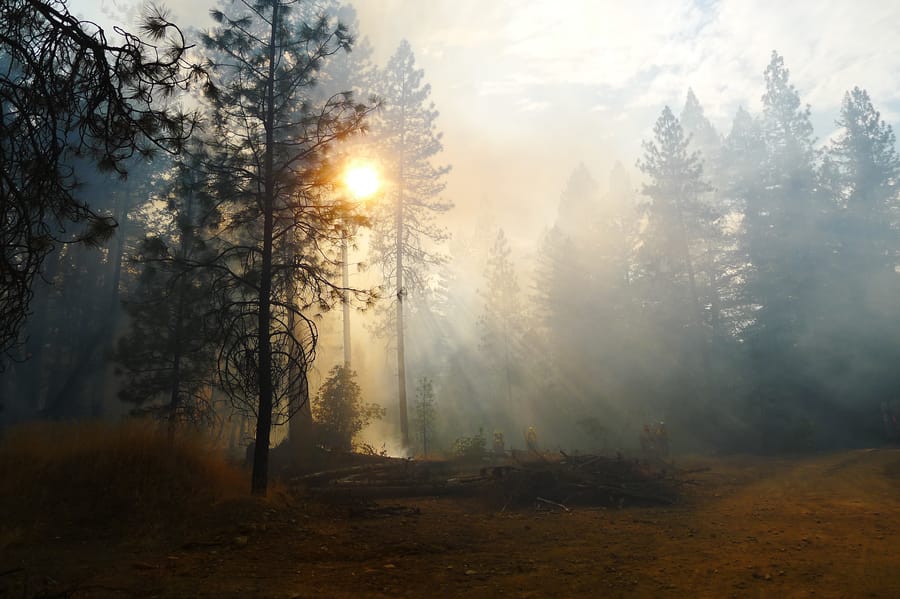 H_20140819_CampFire_CesarRodriguez