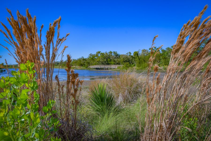 Perico Preserve