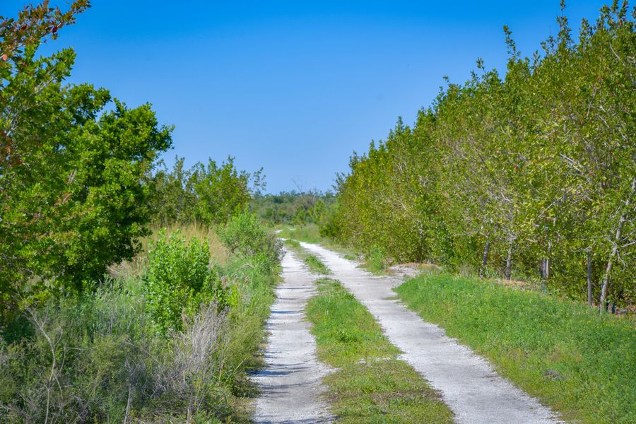 Perico Preserve