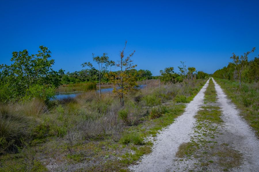 Perico Preserve