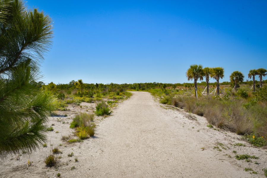 Perico Preserve