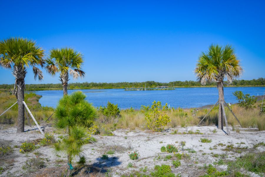 Perico Preserve